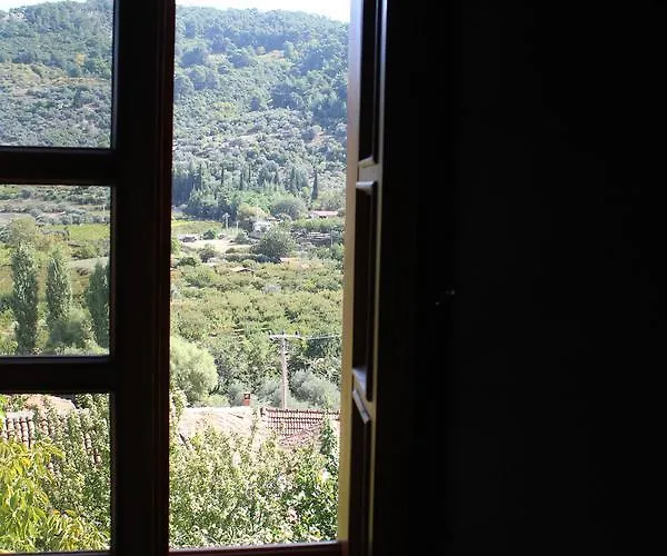 Tas Konak 3* 塞尔丘克